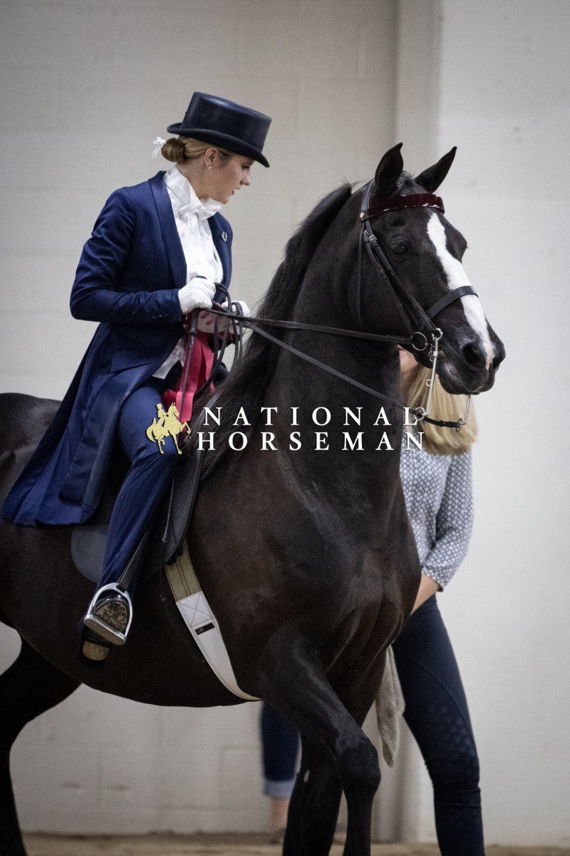 Medallion '23 National Horseman